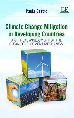 Climate Change Mitigation in Developing Countries(English, Hardcover, Castro Paula)