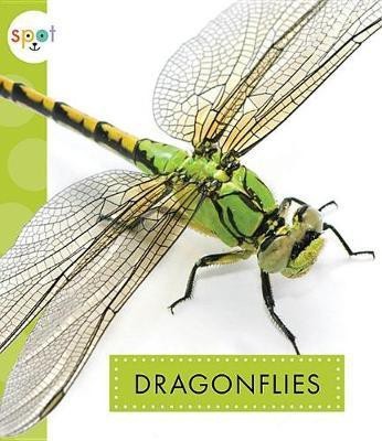 Dragonflies(English, Paperback, Black Nessa)