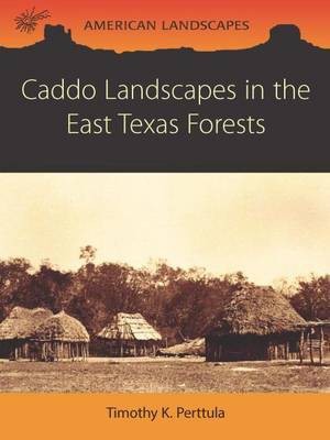 Caddo Landscapes in the East Texas Forests(English, Paperback, Perttula Tim)