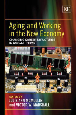 Aging and Working in the New Economy(English, Hardcover, unknown)