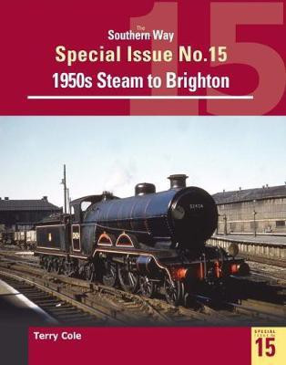 The Southern Way Special Issue 15(English, Paperback, Cole Terry)