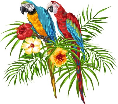 god & god's 42 cm Parrot Love Pirate 299 Self Adhesive Sticker(Pack of 1)