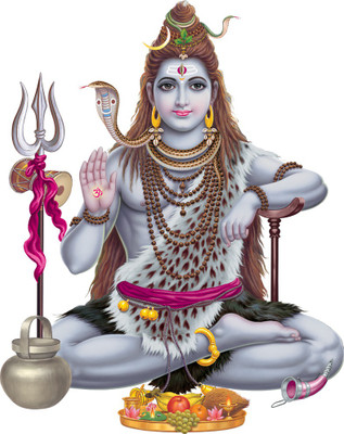 Flipkart SmartBuy 58 cm Transparent Art 143 Self Adhesive Sticker(Pack of 1)