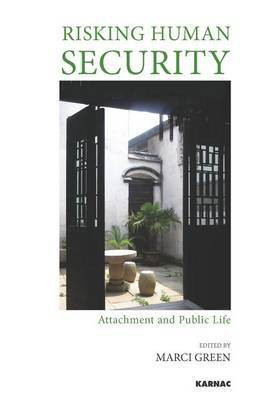 Risking Human Security(English, Electronic book text, unknown)