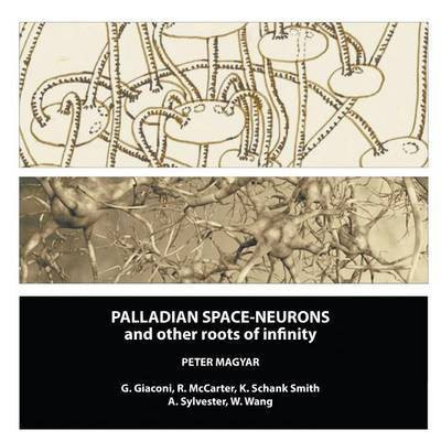 Palladian Space-Neurons and other Roots of Infinity(English, Paperback, Magyar Peter)