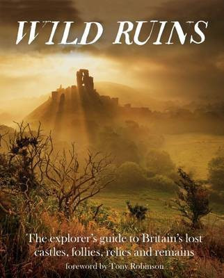 Wild Ruins(English, Paperback, Hamilton Dave)