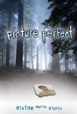 Picture Perfect(English, Electronic book text, Alphin Elaine Marie)