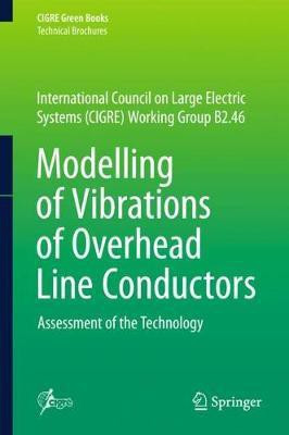 Modelling of Vibrations of Overhead Line Conductors(English, Hardcover, unknown)