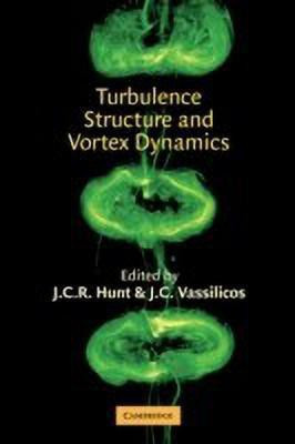 Turbulence Structure and Vortex Dynamics(English, Paperback, unknown)