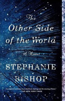 The Other Side of the World(English, Paperback, Bishop Stephanie)