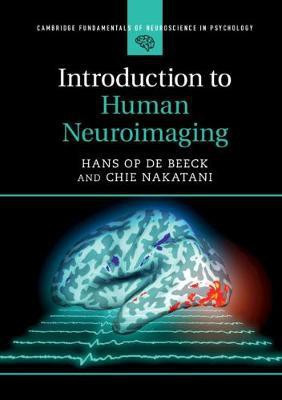 Introduction to Human Neuroimaging(English, Paperback, Op de Beeck Hans)
