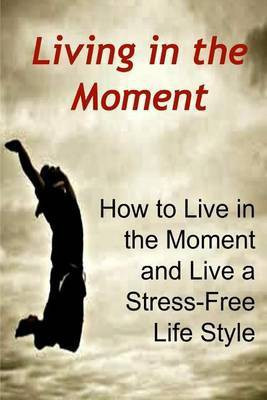Living in the Moment(English, Paperback, Derici James)