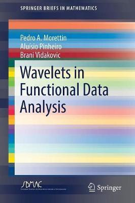 Wavelets in Functional Data Analysis(English, Paperback, Morettin Pedro A.)