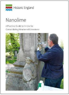 Nanolime(English, Paperback, Odgers David)