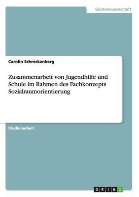 Zusammenarbeit von Jugendhilfe und Schule im Rahmen des Fachkonzepts Sozialraumorientierung(German, Paperback, Schreckenberg Carolin)