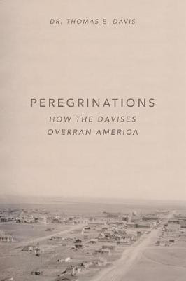Peregrinations(English, Paperback, Davis Thomas E Dr)