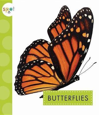 Butterflies(English, Paperback, Bach Rachel)