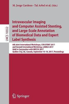 Intravascular Imaging and Computer Assisted Stenting, and Large-Scale Annotation of Biomedical Data and Expert Label Synthesis(English, Paperback, unknown)