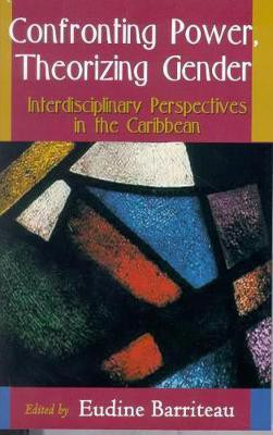 Confronting Power, Theorizing Gender(English, Paperback, unknown)