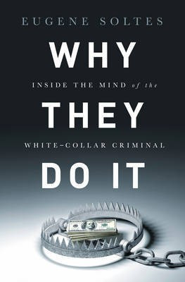 Why They Do It(English, Electronic book text, Soltes Eugene)