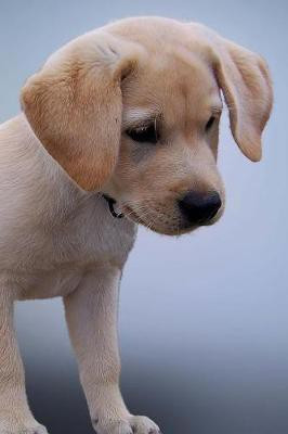 Super Cute Little Yellow Labrador Retriever Puppy Dog Journal(English, Paperback, Creations Cs)