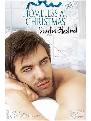 Homeless at Christmas(English, Electronic book text, Blackwell Scarlet)