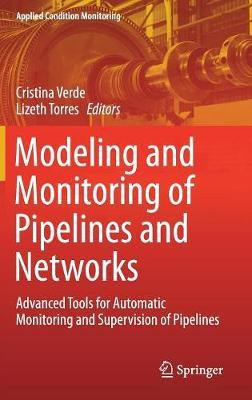 Modeling and Monitoring of Pipelines and Networks(English, Hardcover, unknown)