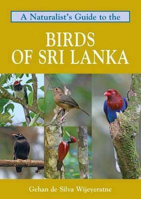 Naturalist's Guide to the Birds of Sri Lanka(English, Paperback, Silva Wijeyeratne Gehan De)