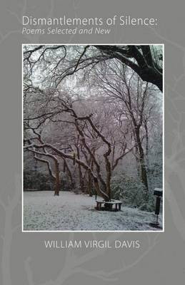 Dismantlements of Silence(English, Paperback, Davis William Virgil)