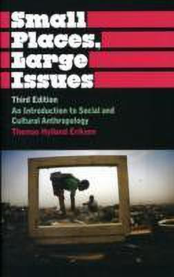Small Places, Large Issues(English, Paperback, Eriksen Thomas Hylland)