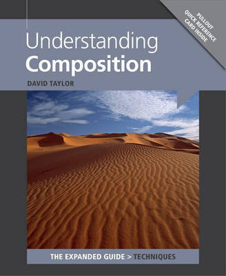 Understanding Composition(English, Paperback, Taylor D)