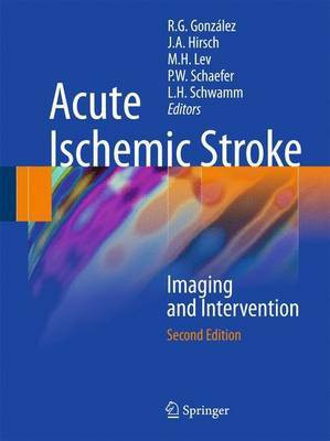 Acute Ischemic Stroke(English, Electronic book text, Gonzalez R Gilberto)
