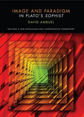 Image & Paradigm in Plato's Sophist(English, Electronic book text, Ambuel David)
