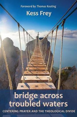 Bridge Across Troubled Waters(English, Paperback, Frey Kess)