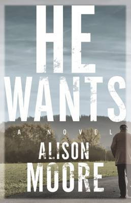 He Wants(English, Paperback, Moore Alison)