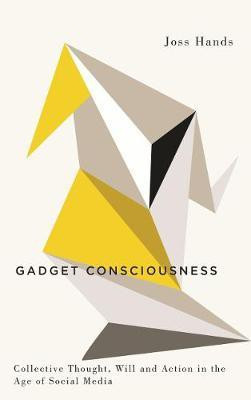 Gadget Consciousness(English, Electronic book text, Hands Joss)