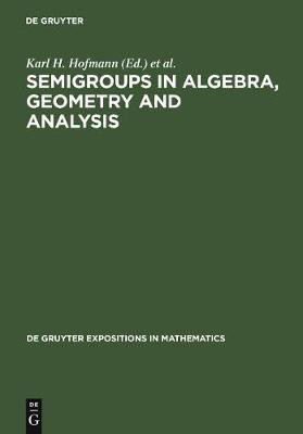 Semigroups in Algebra, Geometry and Analysis(English, Electronic book text, unknown)
