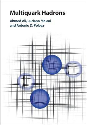 Multiquark Hadrons(English, Hardcover, Ali Ahmed)