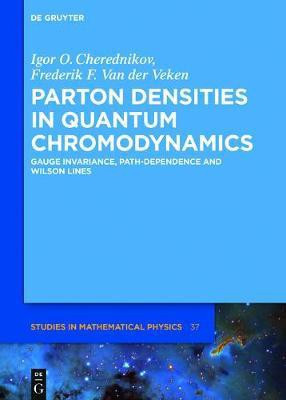 Parton Densities in Quantum Chromodynamics(English, Electronic book text, Cherednikov Igor Olegovich)