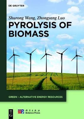 Pyrolysis of Biomass(English, Electronic book text, Wang Shurong)