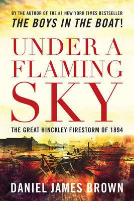 Under a Flaming Sky(English, Electronic book text, Brown Daniel Professor)