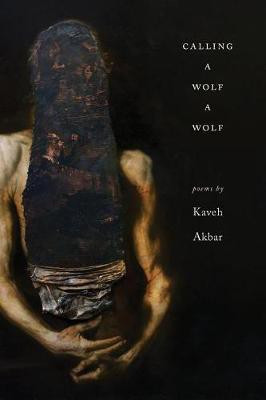 Calling a Wolf a Wolf(English, Paperback, Akbar Kaveh)