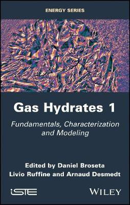 Gas Hydrates 1(English, Hardcover, unknown)