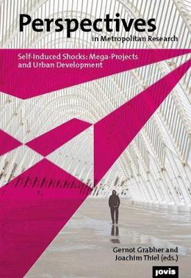 Self-induced Shocks: Mega-Projects and Urban Development(English, Paperback, unknown)