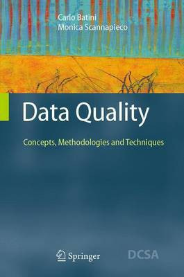 Data Quality(English, Electronic book text, Batini Carlo)