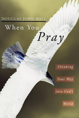 When You Pray(English, Paperback, Hall Douglas John)