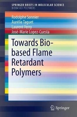 Towards Bio-based Flame Retardant Polymers(English, Paperback, Sonnier Rodolphe)
