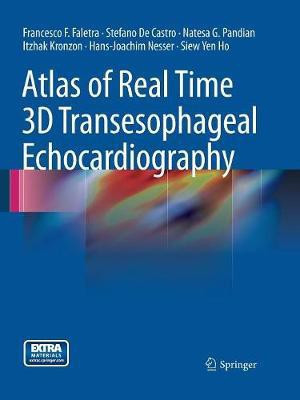 Atlas of Real Time 3D Transesophageal Echocardiography(English, Paperback, Faletra Francesco F.)