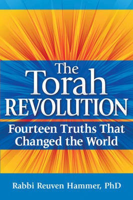 Torah Revolution(English, Paperback, Hammer Rabbi Reuven)