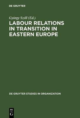 Labour Relations in Transition in Eastern Europe(English, Hardcover, unknown)